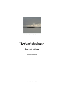 Horkarlsholmen
