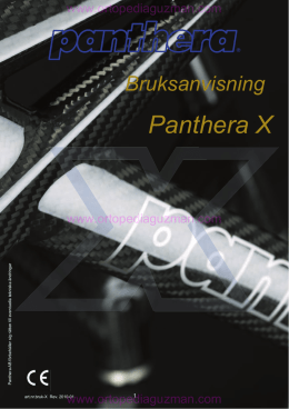Panthera X
