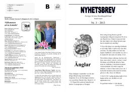 Nyhetsbrevet nr 3 2013 - Sveriges Kristna Handikappförbund