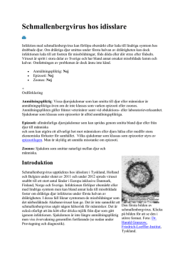 Schmallenbergvirus hos idisslare
