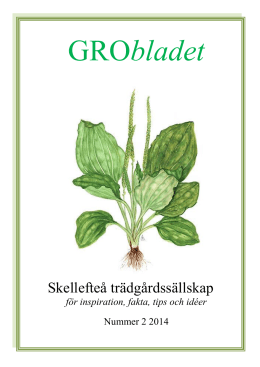 Grobladet nr.2 - Skellefteå trädgårdssällskap