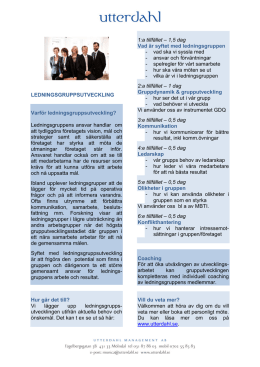 1:a tillf&auml;llet &ndash; 1,5 dag Vad &auml;r syftet med ledningsgruppen