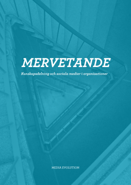 MERVETANDE - Media Evolution