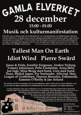 Tallest Man On Earth Idiot Wind Pierre Swärd
