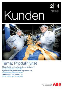 Tema: Produktivitet