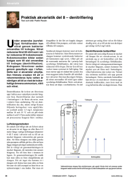 Praktisk akvaristik del 8 &ndash; denitrifiering