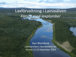 Erfarenheter från kvotbaserad reglering av laxfiske i Lainioälv