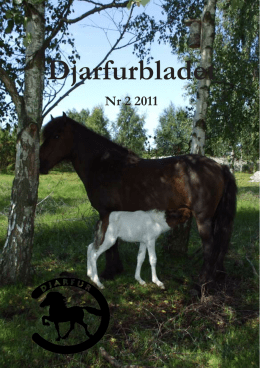 Djarfurbladet 2011-2