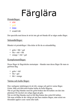 FÄRGLÄRA ÅR 8.pdf
