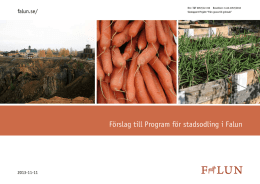 Slutrapport – Förslag till Program för stadsodling i Falun