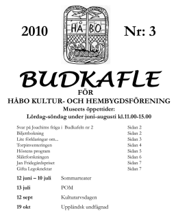 Budkafle nr. 3 2010 - kultur