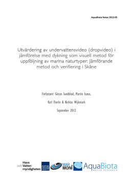 (dropvideo) i j&auml;mf&ouml;relse med dykning som visuell metod