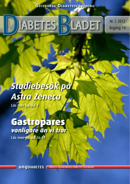 DiabetesBladet nr 2, 2012 - Göteborgs Diabetesförening