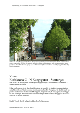 Vision N Kungsgatan