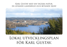 Lokal utvecklingsplan för Karl Gustav.