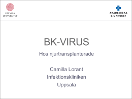 BK-VIRUS Hos njurtransplanterade