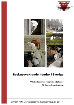Boskapsvaktande hundar i Sverige