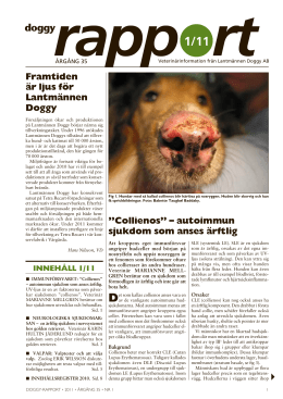 Doggy Rapport 1 - 2011