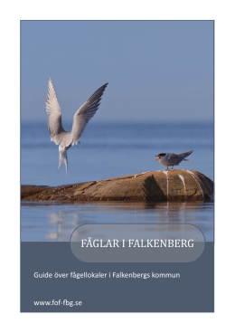Fågellokaler i Falkenbergs kommun_g_v5 - Fof