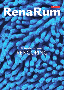 Tema: Reng&ouml;ring