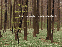 Genrepedagogik - ett arbetssätt för alla.pdf