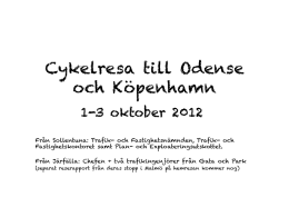 Studieresa Danmark-Odense 2.pdf