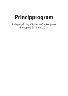 Principprogram, antaget 2013