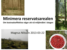 presentation - Magnus Nilsson Produktion