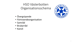 HSO Västerbotten Organisationsschema