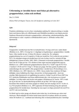 SLU-rapport om ökad gruppstorlek (.pdf)