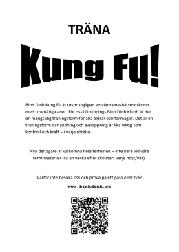 Träna Kung Fu! - Linköpings Binh Dinh Klubb