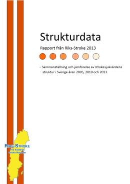 Strukturdata rapport 2013 - Riks