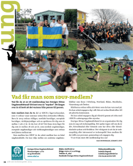 UNG Sidor nr 4 år 2013 - Sveriges Dövas Ungdomsförbund