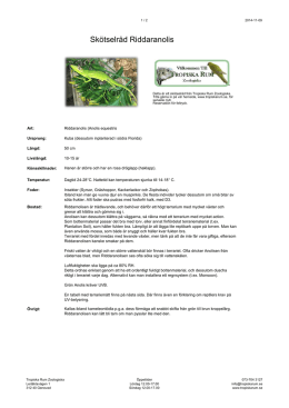 Skötselråd Riddaranolis - Tropiska Rum Zoologiska