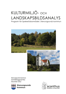 Kulturmiljö- och landskapsbildsanalys.pdf