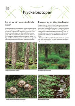 Nyckelbiotoper - Skogsstyrelsens böcker och broschyrer
