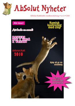 Nr 4/2010 - AbSolut Kattklubb