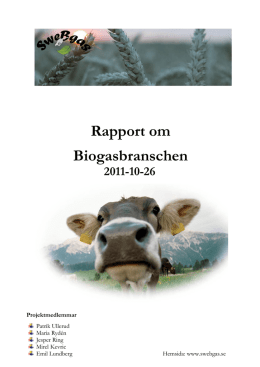 Rapport om Biogasbranschen