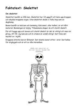 Faktatext: Skelettet