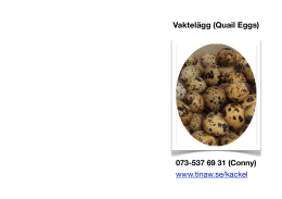 Vaktelägg (Quail Eggs)