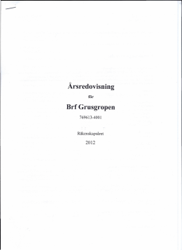 Årsredovisning (2012).pdf