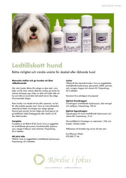 Ledtillskott hund