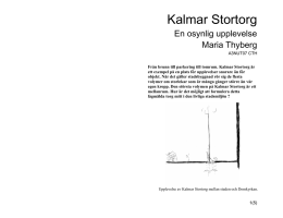 Kalmar Stortorg En osynlig upplevelse_ Mia Thyberg