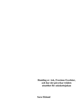 Hamling av Ask, Fraxinus Excelsior, och hur det p&aring;verkar tr&auml;dets