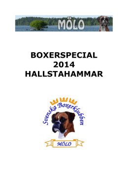 boxerspecial 2014 hallstahammar - SvB