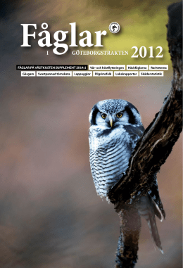 Ladda ner PDF – 2,13 MB - Göteborgs Ornitologiska Förening
