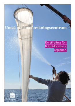 Ladda ner UMF-broschyren - Umeå marina forskningscentrum