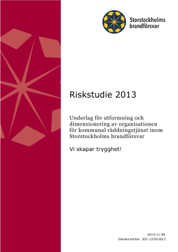 Riskstudie-2013-dnr301-1379