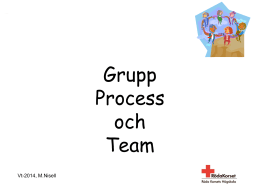 Grupp Process och Team