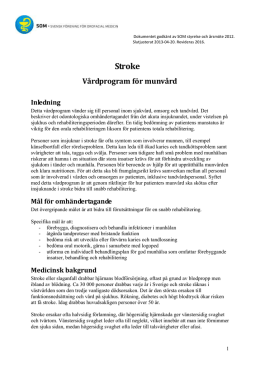 Vårdprogram Stroke 130427 SOM SLUTGILTIGT.pdf